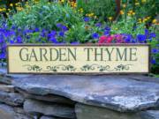 Garden Thyme_image