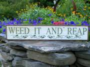 Weed it and reap_image