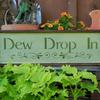 Dew Drop In Sign, Indoor and Outdoor Signs, Signs for the Home, Welcome Signs, Rustic Home Decor, Handmade Wood Signs, Handcrafted by Crow Bar D'signs, Vermont, USA, Dew Drop In Sign, 6" x 10", $27.00 plus shipping