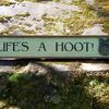 Shabby Chic, Cottage Decor, Handmade Signs, Rustic Decor, Country, Lake and Lodge, Signs and Sayings, Cast Iron Owl, Handcrafted by Crow Bar D'signs, Vermont, USA, LIFE'S A HOOT Sign, 5" x 28.5, $35.00 plus shipping