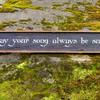 Handmade Wood Sign, Vintage and Rustic Home Decor, Salvaged Wood Signs, Signs and Sayings, Quotes on Wood, Handcrafted by Crow Bar D'signs, Vermont, USA, May your song always be sung, 6.5" x 37", $40.00 plus shipping