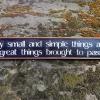 Inspirational Signs and Sayings, Custom Signs, Wall Decor, Handmade Wood Signs by Crow Bar D'signs
