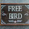 Free Bird sign - 12"x17" - Vintage and Rustic Signs and Decor - Rock and Roll Signs - Indoor and Outdoor Signs - Handcrafted by Crow Bar D'signs